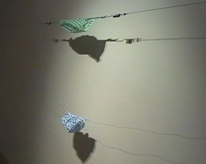 Grasping and Clinging installation